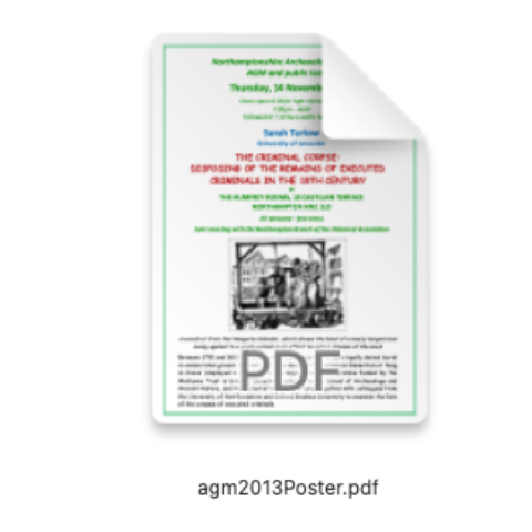 AGM 2013